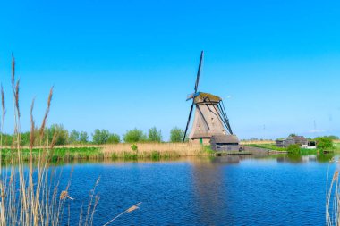 Hollanda 'nın Kinderdijk kentindeki kırsal yel değirmenlerinin ufuk çizgisi