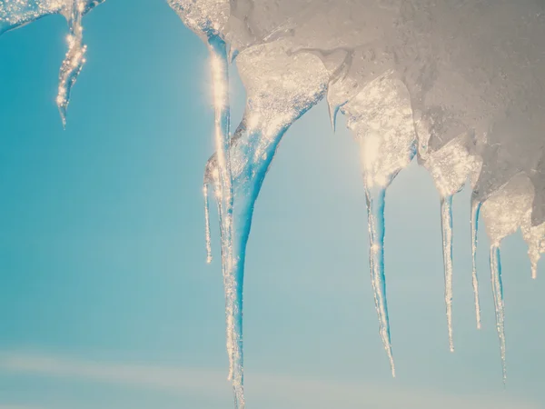 Icicle — Stock fotografie