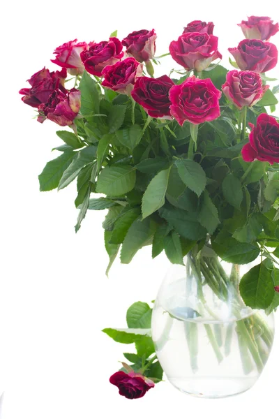 Pile of pink roses — Stock Photo, Image