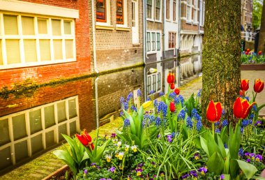 Street Delft bahar zaman, Hollanda