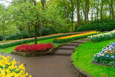 Lale bahçesinde renkli bir bahar, gür bir ortamda canlı çiçekler sergiliyor, ziyaretçileri gezmeye davet ediyor.