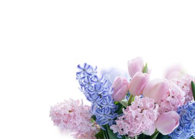 Pastel sümbüller ve laleler, beyaz arka planda çiçekçi aranjmanı, canlı stüdyo ışıkları, çiğ yaprakları, taze yeşillik, minimalist kompozisyon