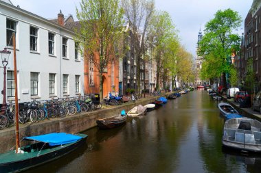 Hollanda, Amsterdam 'da kanal suyu üzerinde eski tarihi evler ve ağaçların cepheleri