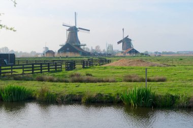 Hollanda 'da sisli yel değirmenleriyle kırsal bölge manzarası