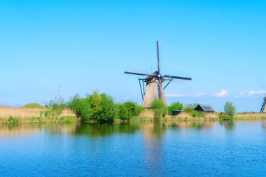 Hollanda 'nın Kinderdijk kentindeki kırsal yel değirmenlerinin ufuk çizgisi