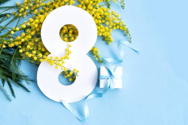 Mimosa çiçekleri mavi bahar arka planında, 8 Mart bayram arka planında, Mimosa çiçekleri 8 Mart uluslararası kadınlar için geleneksel çiçeklerdir.