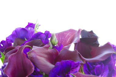 Calla Lily ve eustoma çiçekler