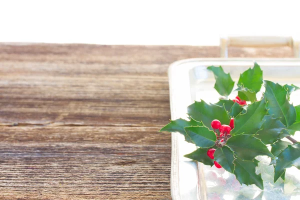 Holly yeni şube — Stok fotoğraf