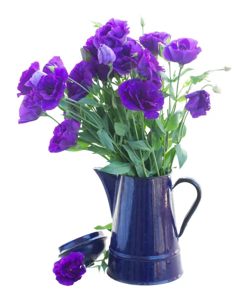 Bouquet  of  violet eustoma flowers — Stock Photo, Image