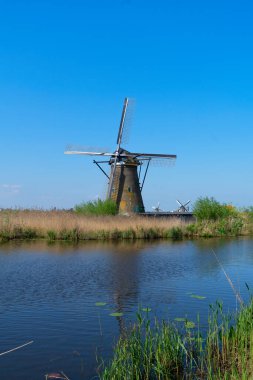 Hollanda 'nın Kinderdijk kentindeki kırsal yel değirmenlerinin ufuk çizgisi