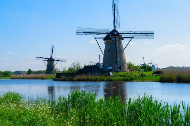 Hollanda 'nın Kinderdijk kentindeki kırsal yel değirmenlerinin ufuk çizgisi