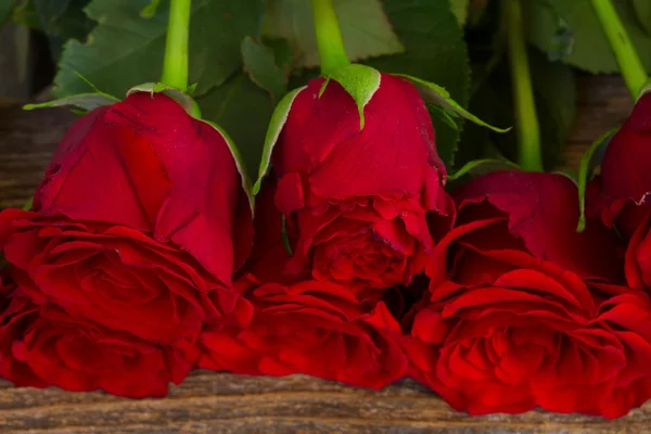 堆的红玫瑰 — 图库照片