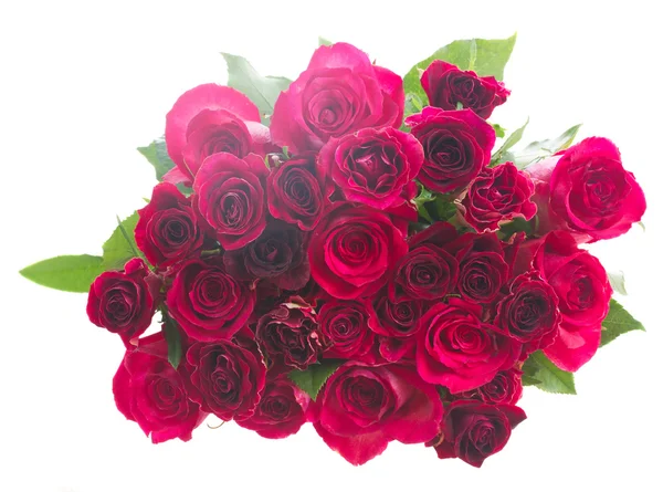 빨간 장미의 테두리 — 스톡 사진