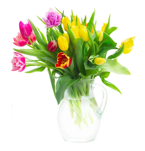 Lente tulpen en irissen — Stockfoto