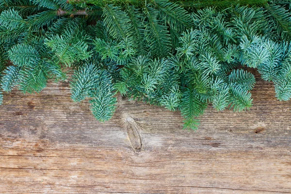 Rami d'albero sempreverdi freschi di Natale — Foto Stock