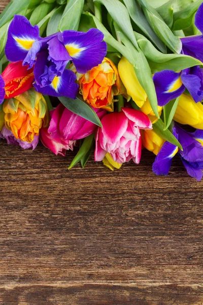 Frühlingstulpen und Schwertlilien — Stockfoto