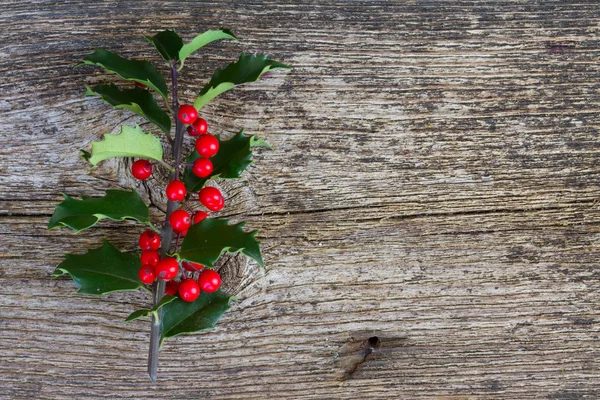 Holly branch on wood — Stock Photo, Image