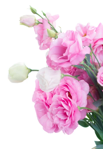 Bouquet di rose fresche — Foto Stock