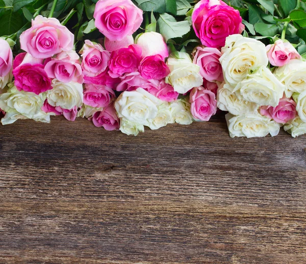 Rosa och vita rosor — Stockfoto