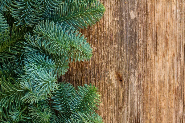 Christmas färska vintergröna träd grenar — Stockfoto