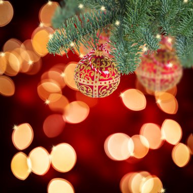 Noel top yaprak dökmeyen ağaç üzerinde asılı