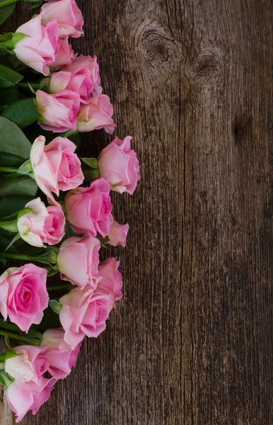 Strauß frischer Rosen — Stockfoto