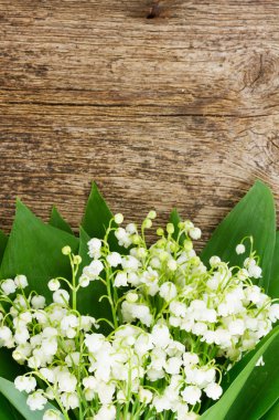 Lilly vadinin ahşap üzerine