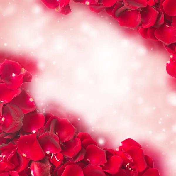 Рамка из темно-красных лепестков роз — стоковое фото