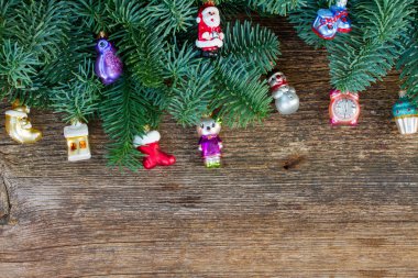 Noel taze yaprak dökmeyen ağacı dalları