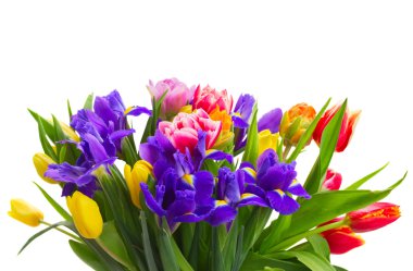 bahar laleleri ve irisler