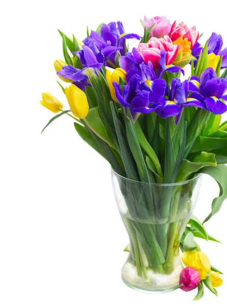 Весенние тюльпаны и ирисы — стоковое фото