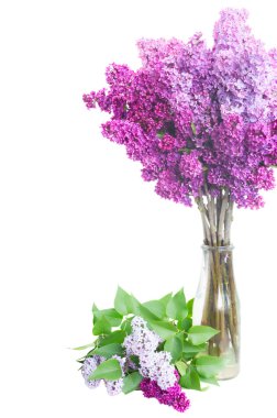 beyaz üzerine Eflatun çiçekler