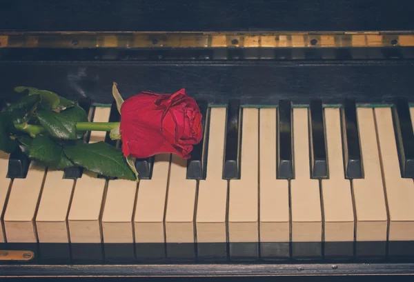 Rose rouge au piano — Photo