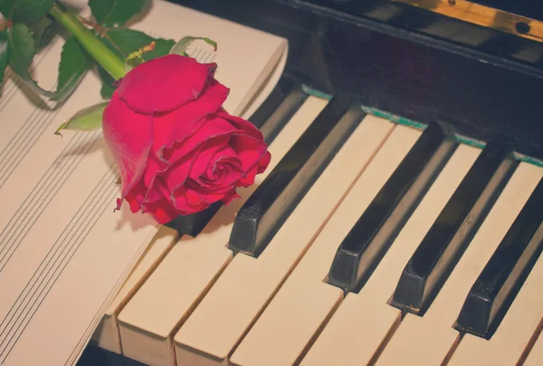 Красная роза с нотами на фортепиано — стоковое фото