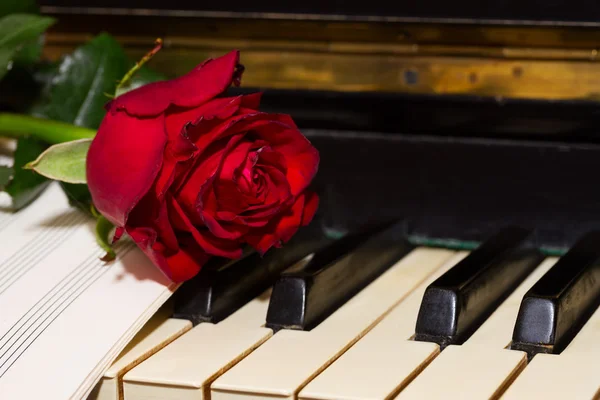 Rosa rossa con note di carta al pianoforte — Foto Stock