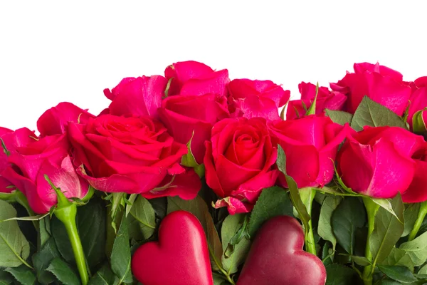 Due rose rosse scarlatte — Foto Stock