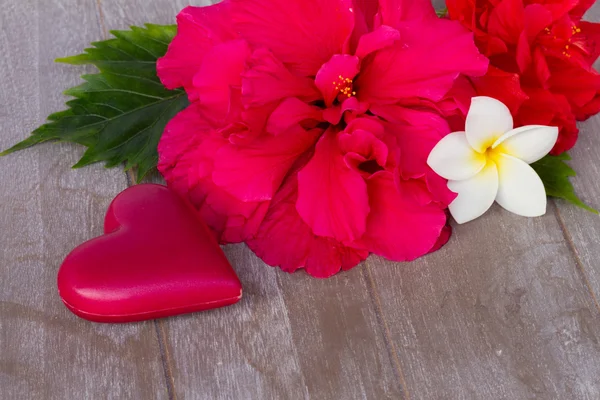 Rosas de color rosa oscuro con corazones y etiqueta —  Fotos de Stock