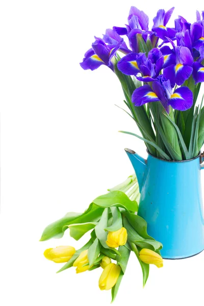 Spring tulips and irises — Stock Photo, Image