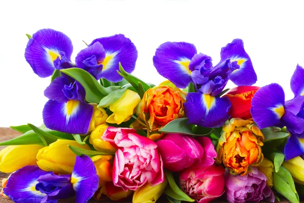 春のチューリップと虹彩 — ストック写真