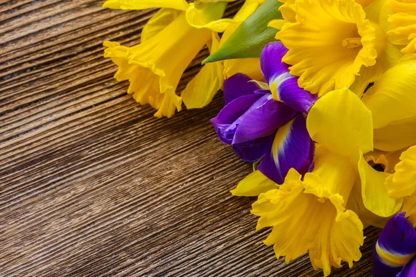 Narcisos de Pascua e iris — Foto de Stock