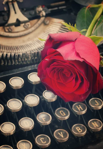 Rosa roja en la máquina de escribir —  Fotos de Stock