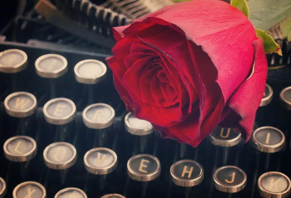 Rosa rossa sulla macchina da scrivere — Foto Stock