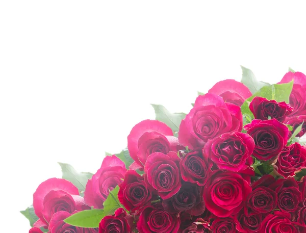 Border of red roses — Stock Photo, Image