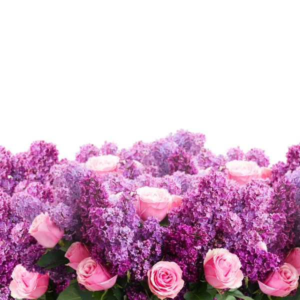 Lilac flowers with roses — Stock Photo, Image