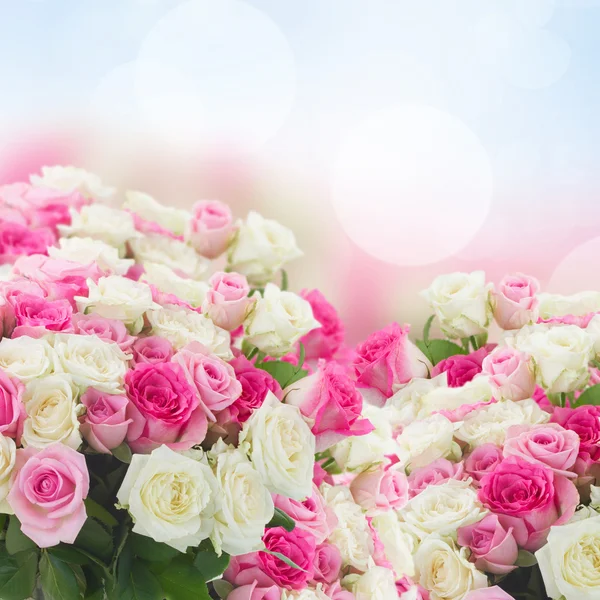 Strauß frischer Rosen — Stockfoto