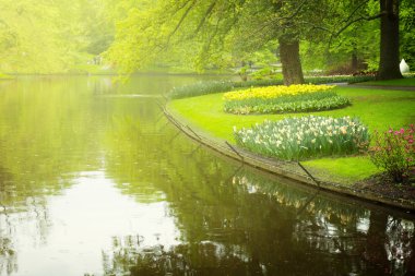 bahar bahçe keukenhof, Hollanda