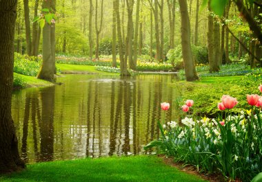 bahar bahçe keukenhof, Hollanda