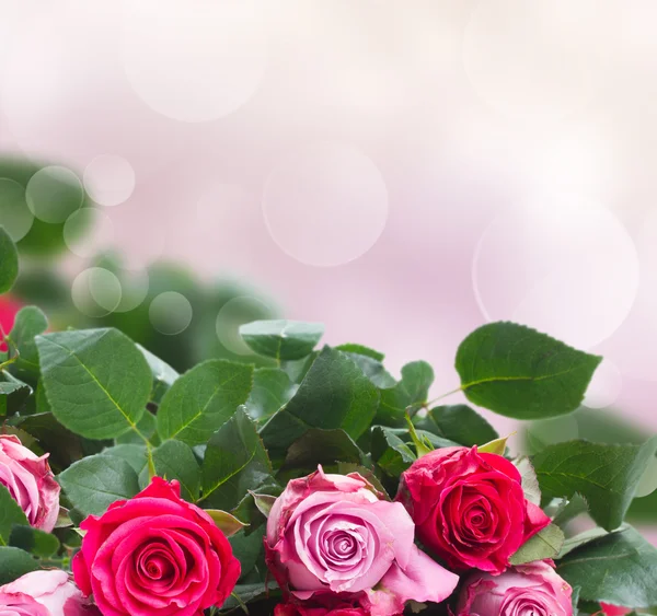 粉红色花朵的边框 — 图库照片