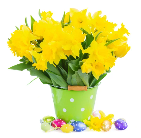 Narcisse jaune de printemps — Photo