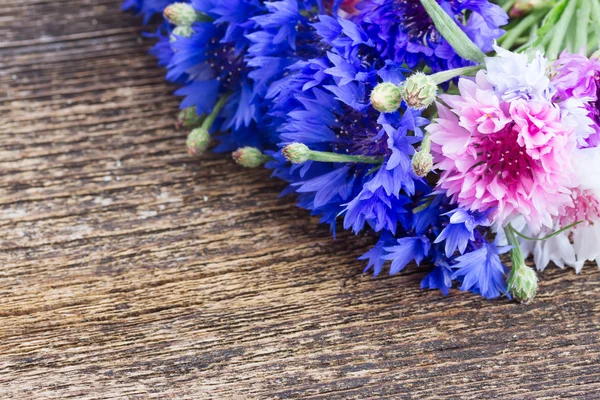 Blue and pink cornflowers — Stock Photo, Image